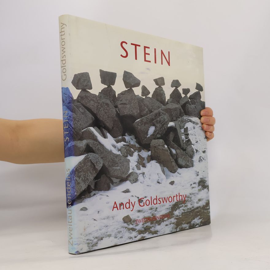 Andy Goldsworthy Stein