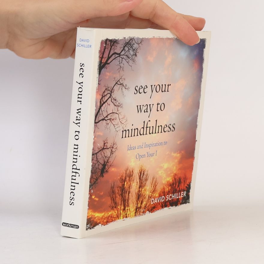 David Schiller See Your Way to Mindfulness
