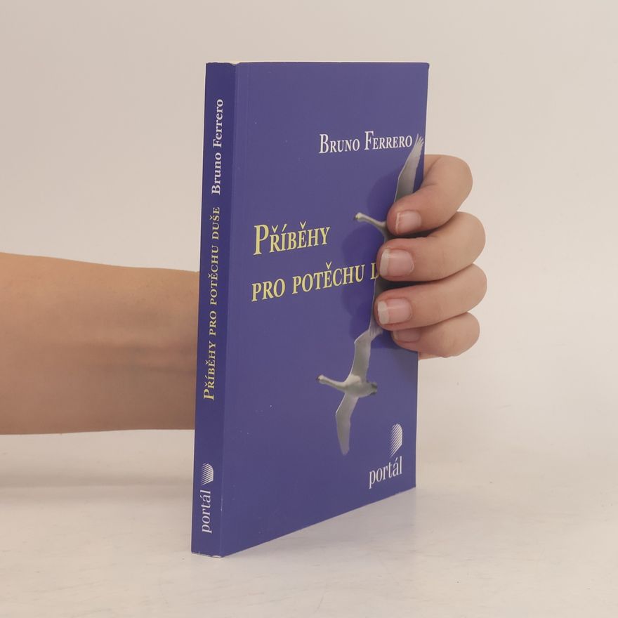 Bruno Ferrero Příběhy pro potěchu duše