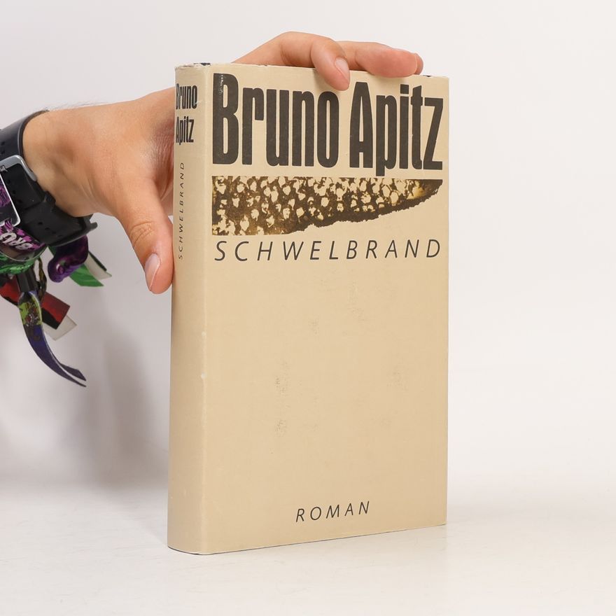 Bruno Apitz Schwelbrand