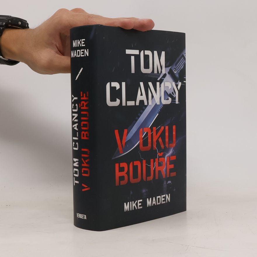 Mike Maden V oku bouře