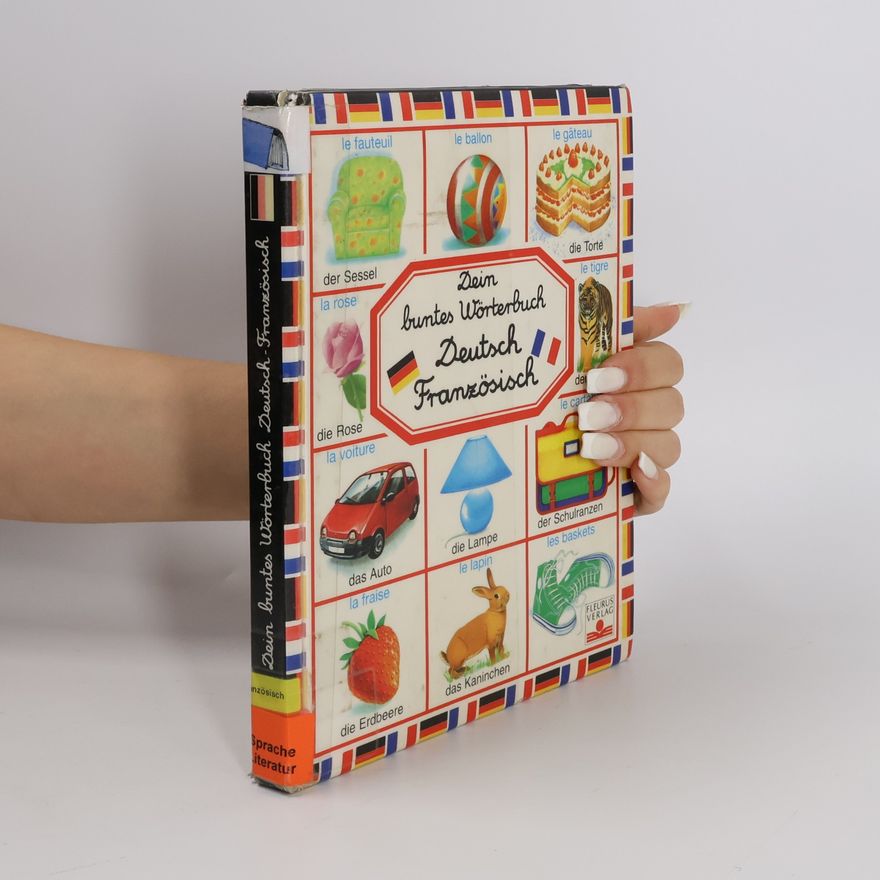 Autorenkollektiv Dein buntes Wörterbuch Deutsch Französisch