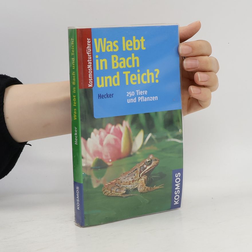 Katrin Hecker Was lebt in Bach und Teich?