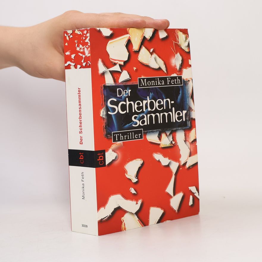 Monika Feth Der Scherbensammler