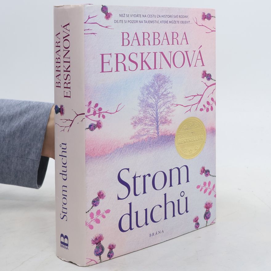 Barbara Erskine Strom duchů