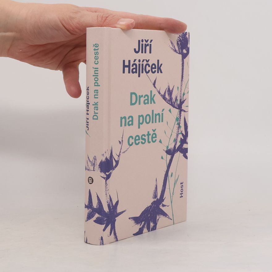 Jiří Hájíček Drak na polní cestě