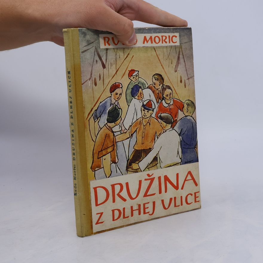 Mikuláš Rogovský Družina z dlhej ulice