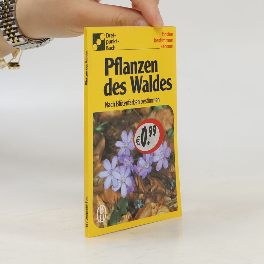 Autorenkollektiv Pflanzen des Waldes
