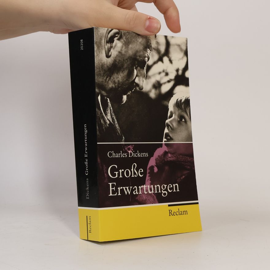 Charles Dickens Grosse Erwartungen