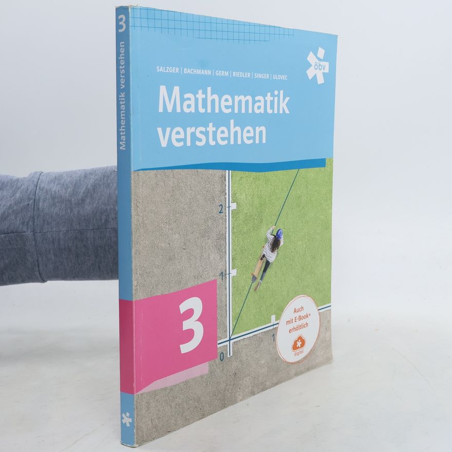 Bernhard Salzger Mathematik verstehen 3
