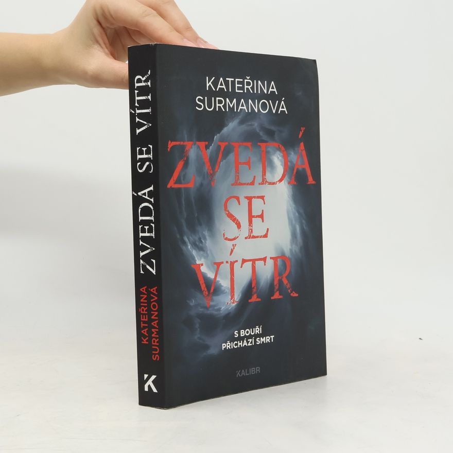 Kateřina Surmanová Zvedá se vítr