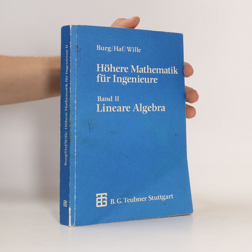 Klemens Burg Höhere Mathematik für Ingenieure