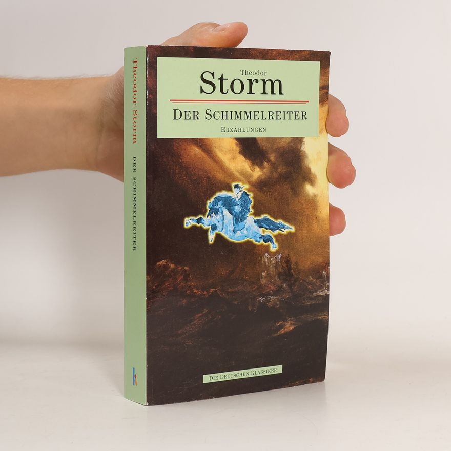 Theodor Storm Der Schimmelreiter. Erzählungen