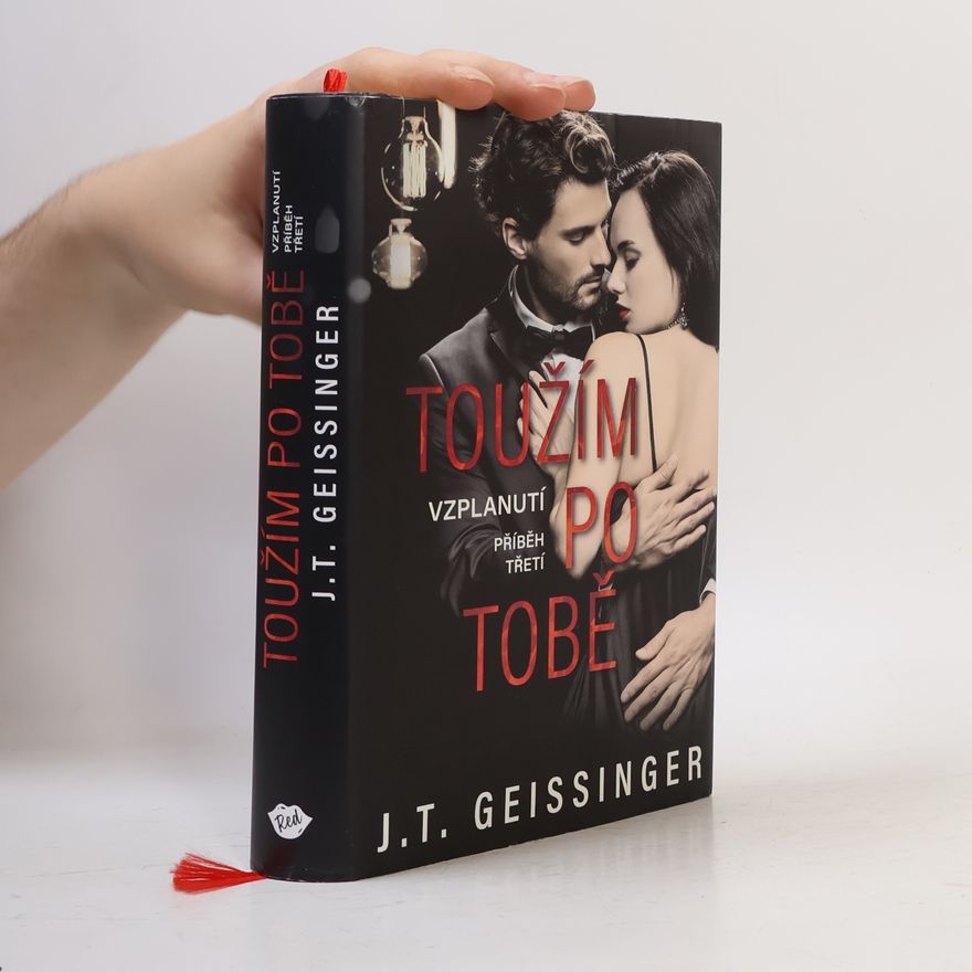 J. T. Geissinger Toužím po tobě