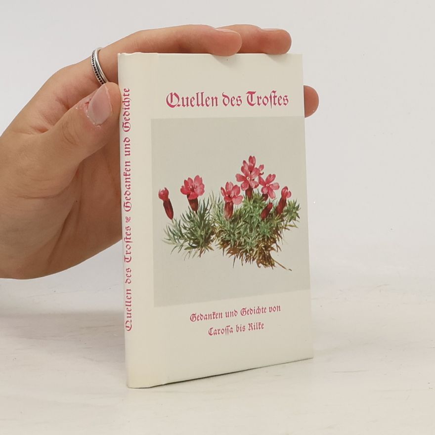 E. Hettinger Quellen des Trostes