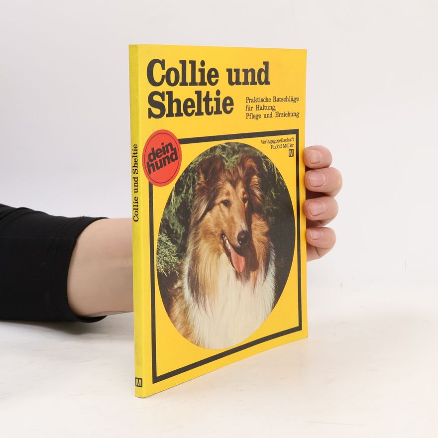 Klaus-Peter Zimmer Collie und Sheltie
