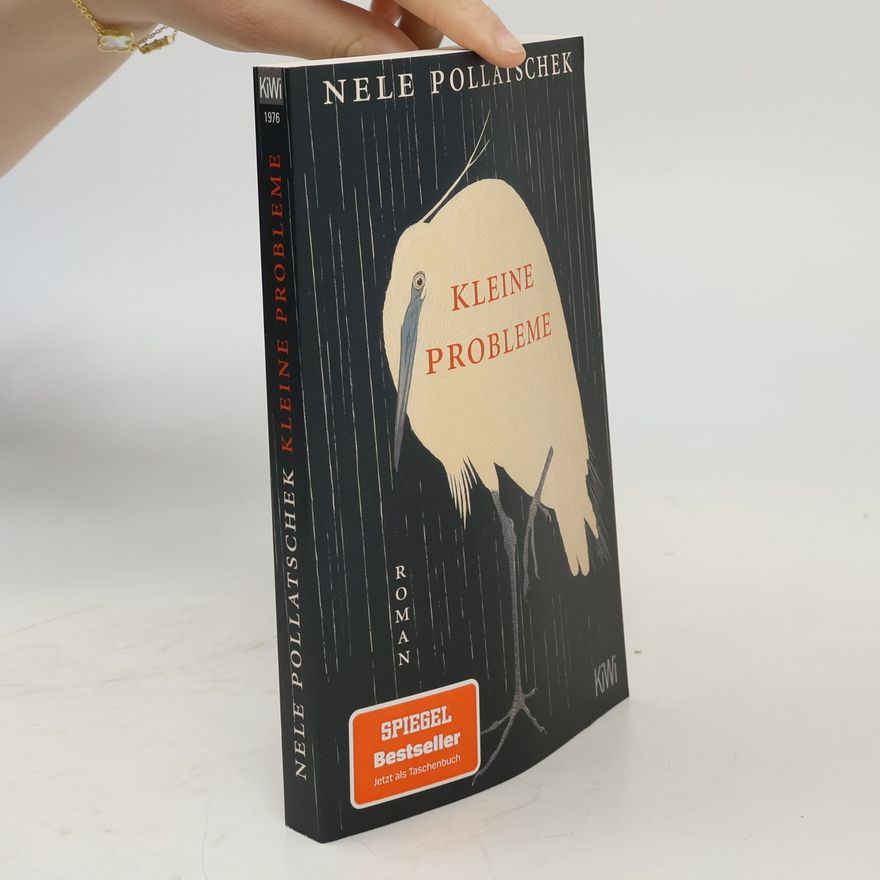 Nele Pollatschek Kleine Probleme