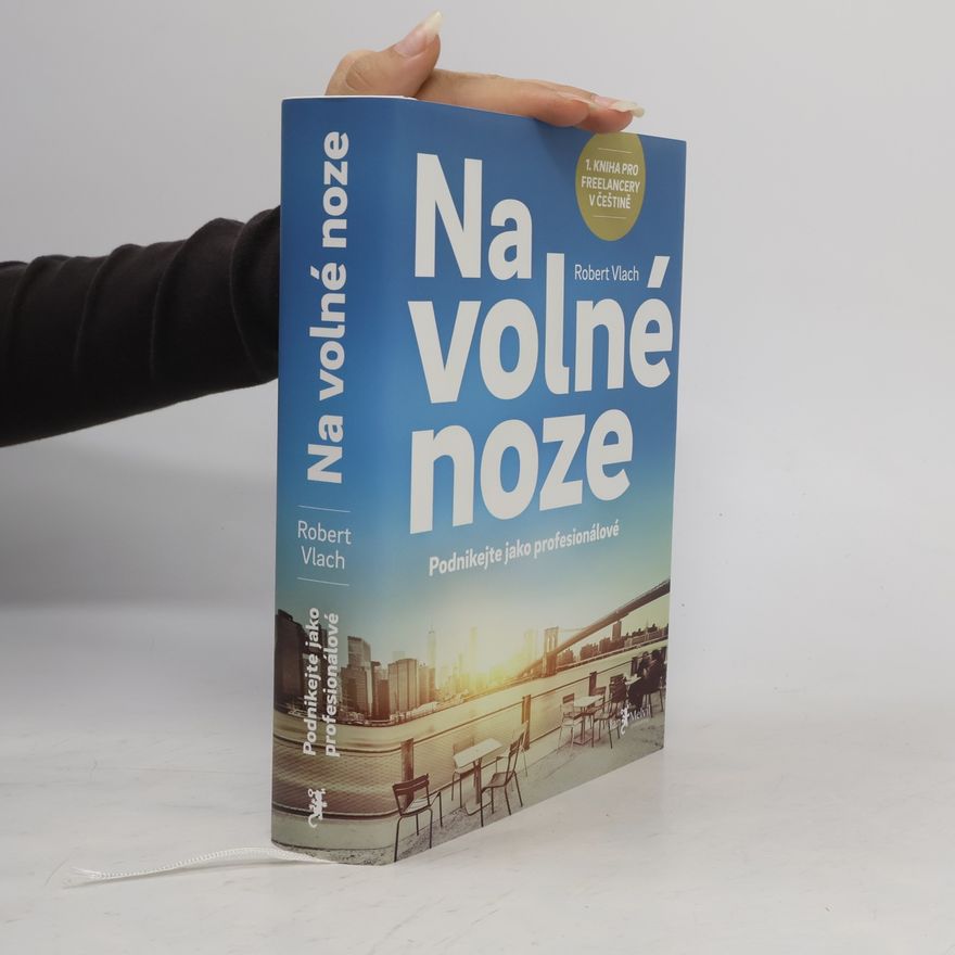 Robert Vlach (podnikatel) Na volné noze