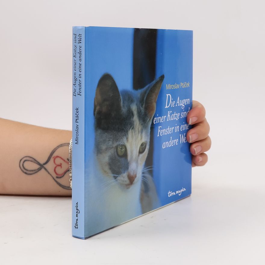 Miroslav Ptáček Die Augen einer Katze sind Fenster in eine andere Welt