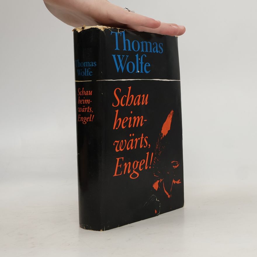 Thomas Wolfe Schau heimwärts, Engel!