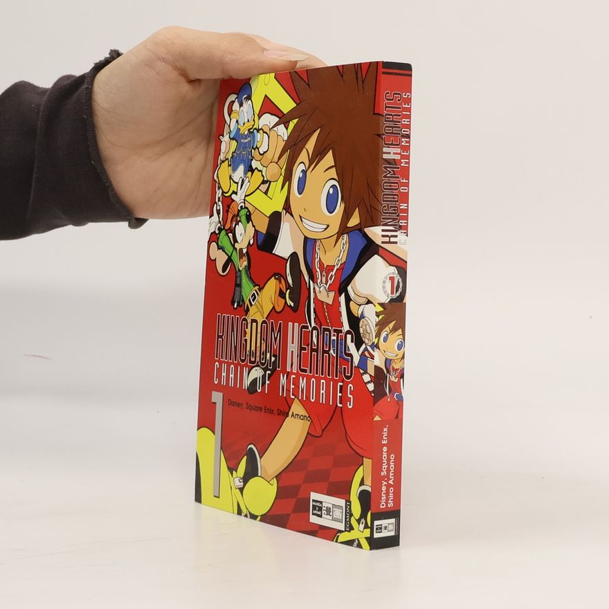 Various authors Kingdom hearts