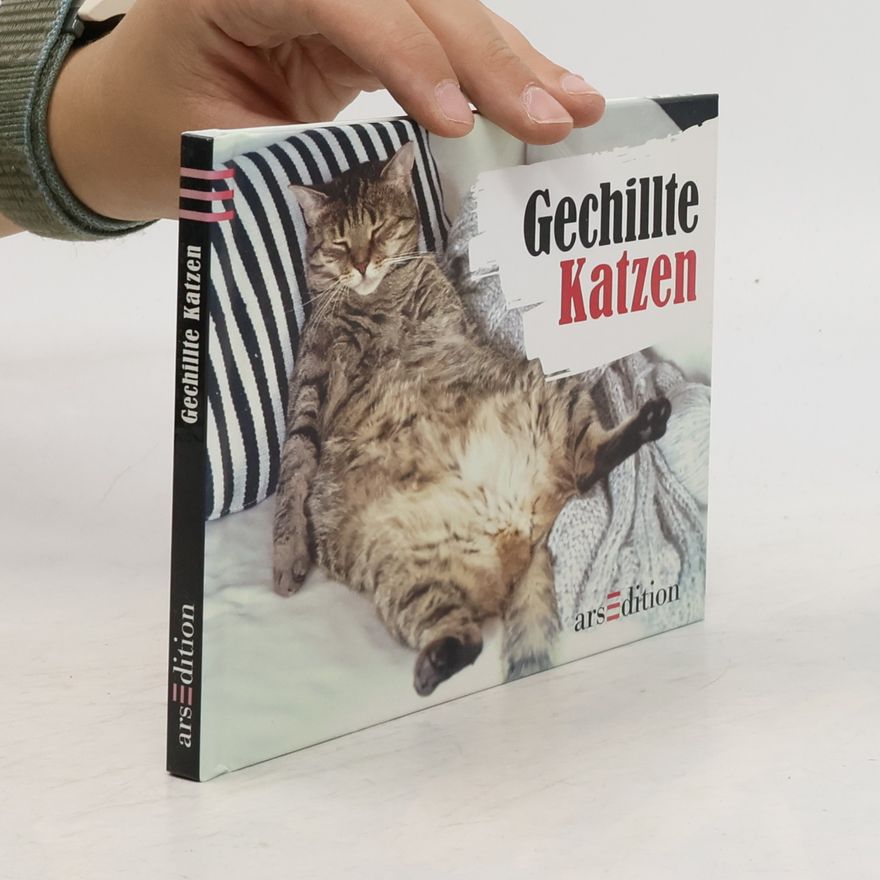 Paulus Vennebusch Gechillte Katzen