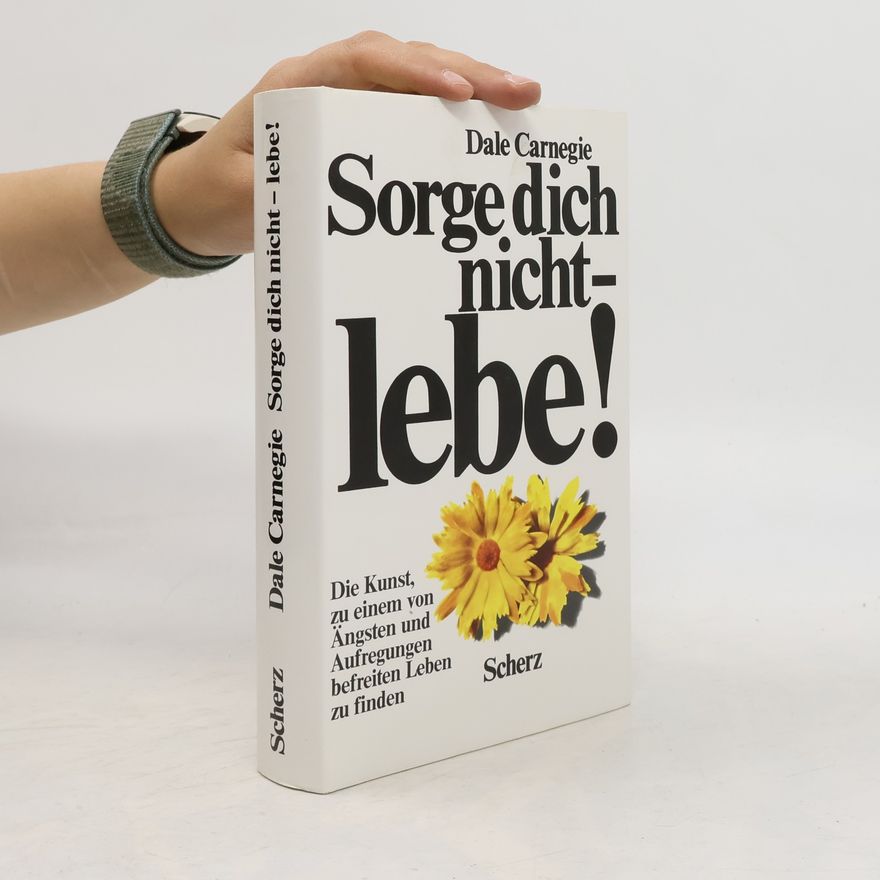 Dale Carnegie Sorge dich nicht - lebe!