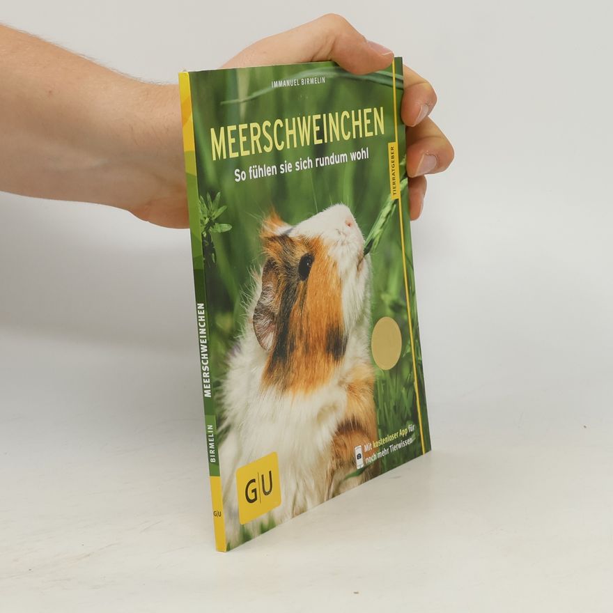 Immanuel Birmelin Meerschweinchen