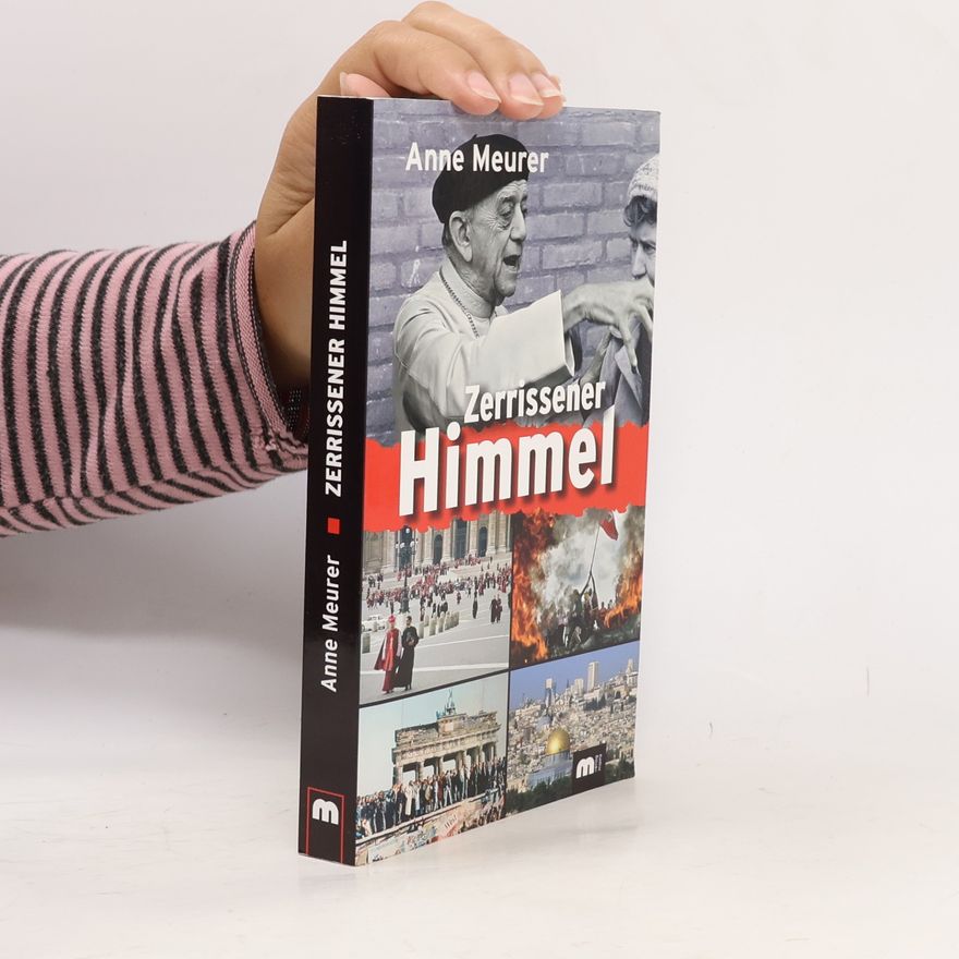 Anne Meurer Zerrissener Himmel