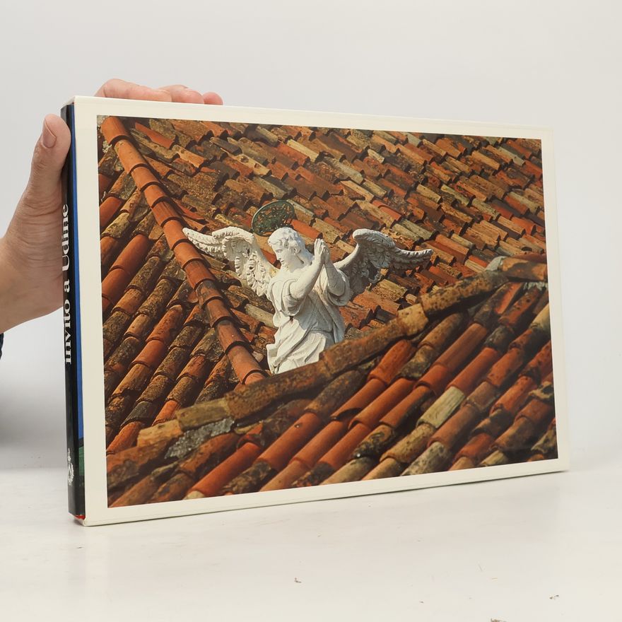 Giuseppe Bergamini Invito a Udine