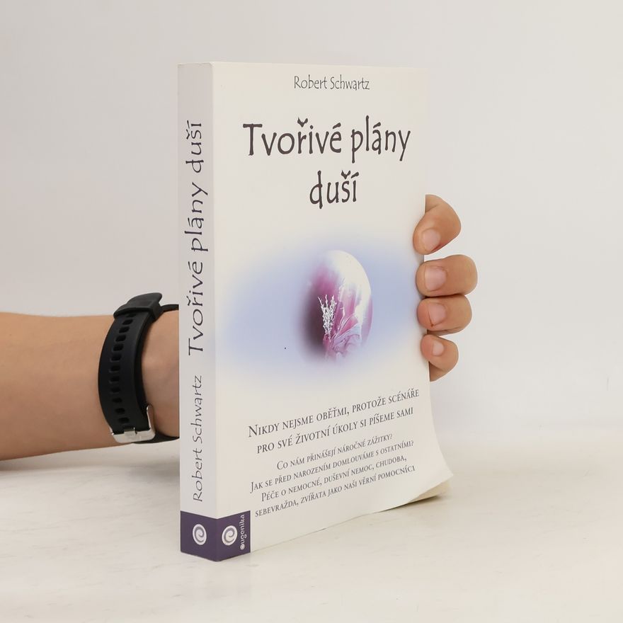 Robert Schwartz Tvořivé plány duší