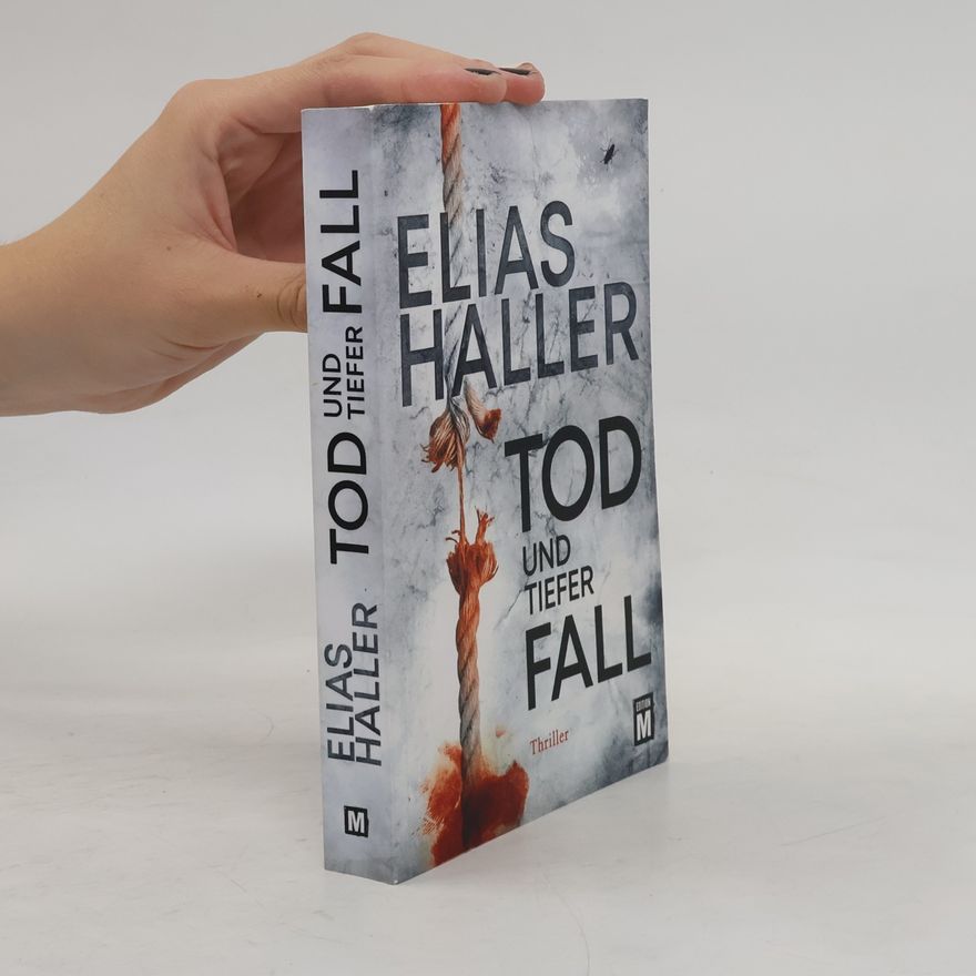 Elias Haller Tod und tiefer Fall
