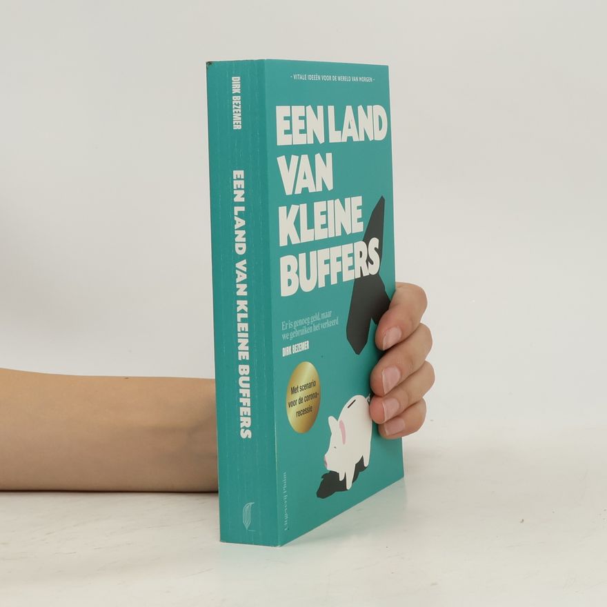 Dirk Bezemer Een land van kleine buffers