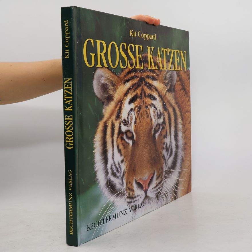 Kit Coppard Grosse Katzen