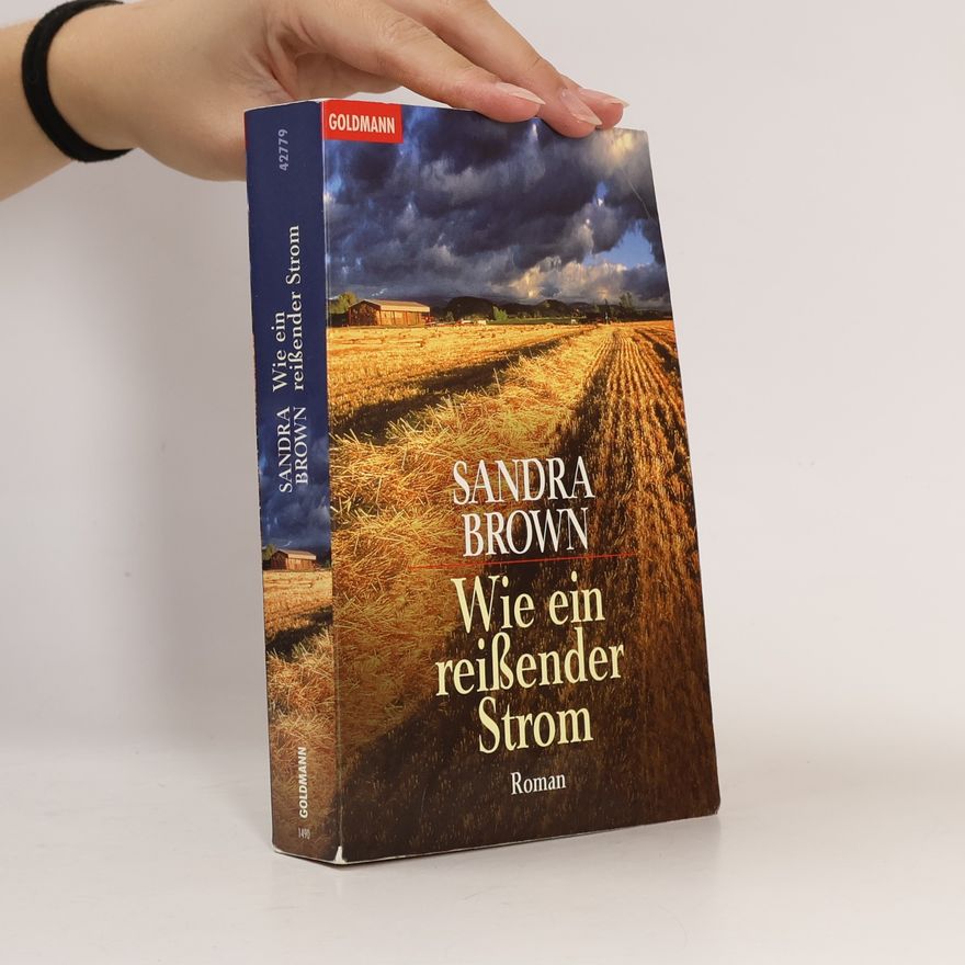Sandra Brown Wie ein reißender Strom