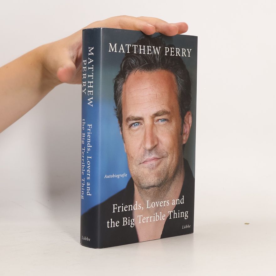 Matthew Perry Friends, Lovers and the Big Terrible Thing