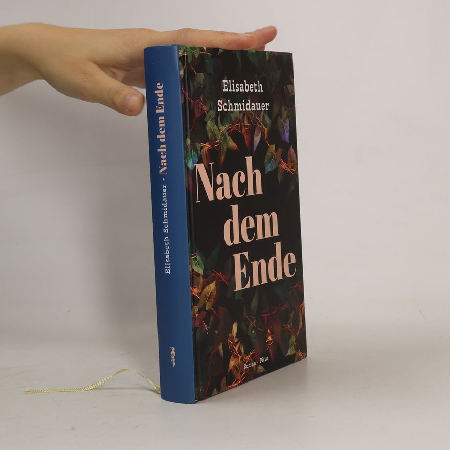 Elisabeth Schmidauer Nach dem Ende: Roman