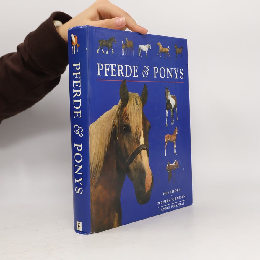Tam Pickeral Pferde & Ponys
