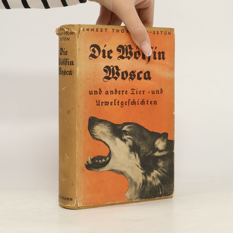 Ernest Thompson Seton Die Wölfin Mosca