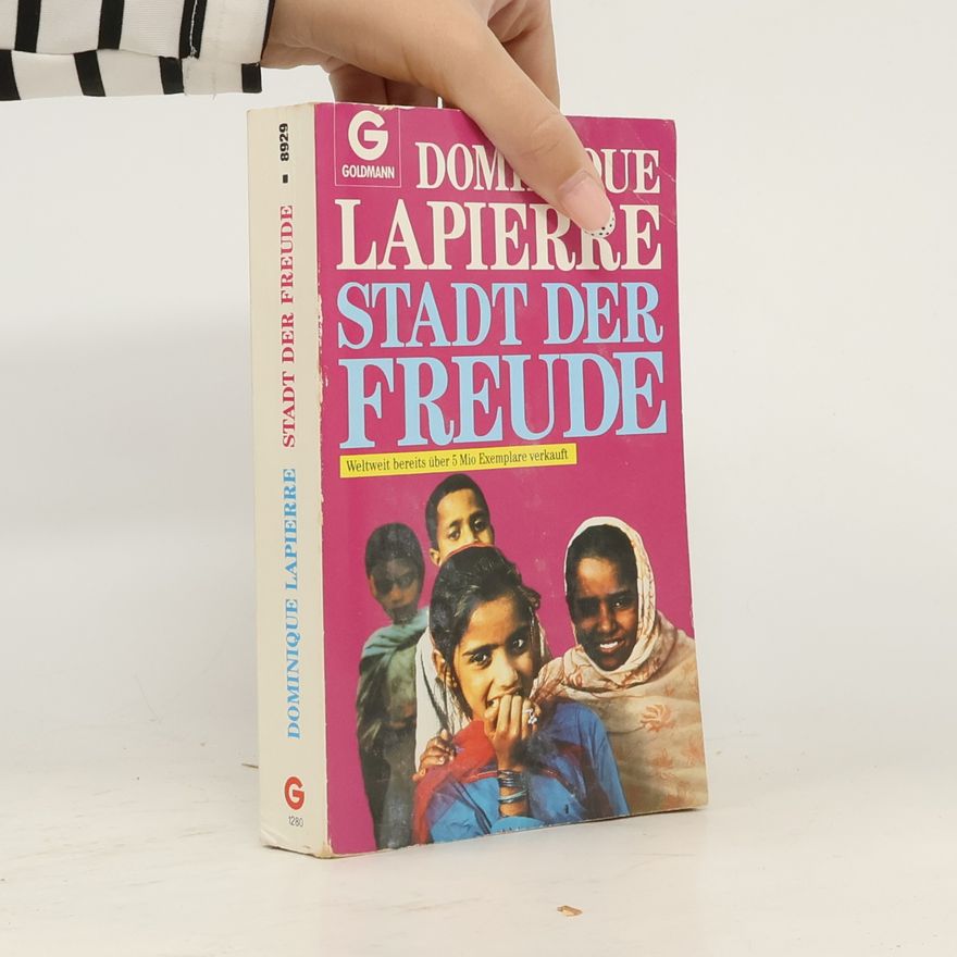 Dominique Lapierre Stadt der Freude