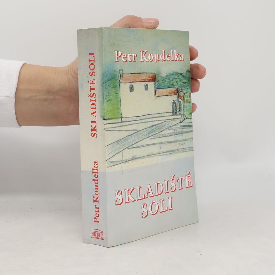Petr Koudelka Skladiště soli