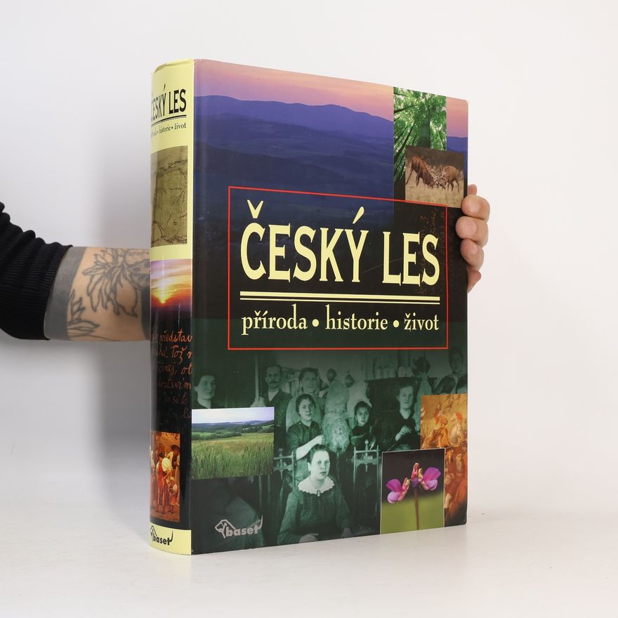Vladislav Dudák Český les