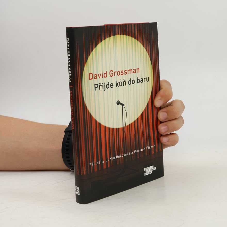 David Grossman Přijde kůň do baru