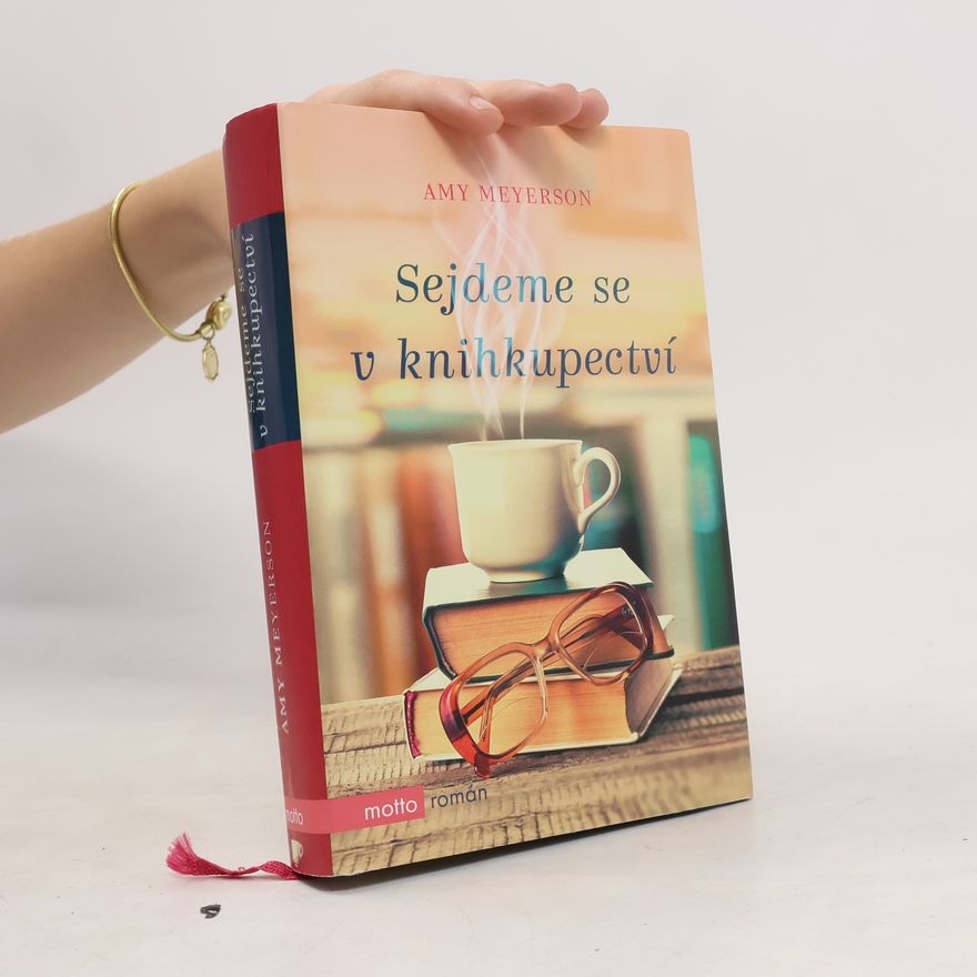 Amy Meyerson Sejdeme se v knihkupectví
