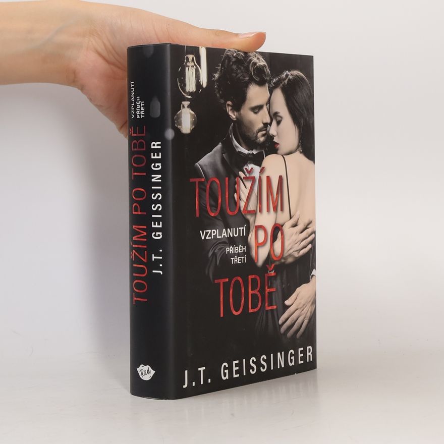 J. T. Geissinger Toužím po tobě