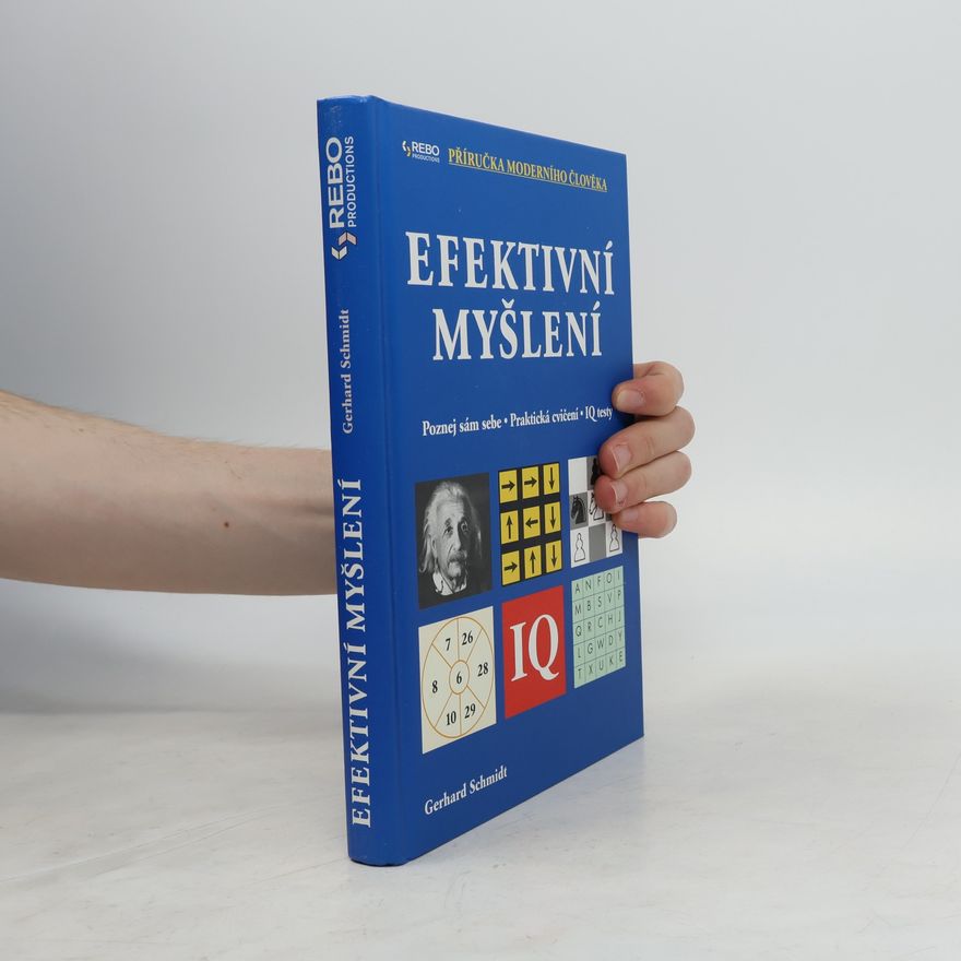 Gerhard Schmidt Efektivní myšlení