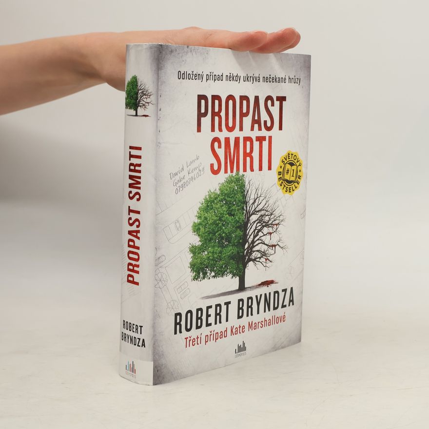 Robert Bryndza Propast smrti