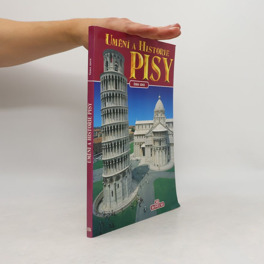 Andrea Pistolesi Umění a historie Pisy