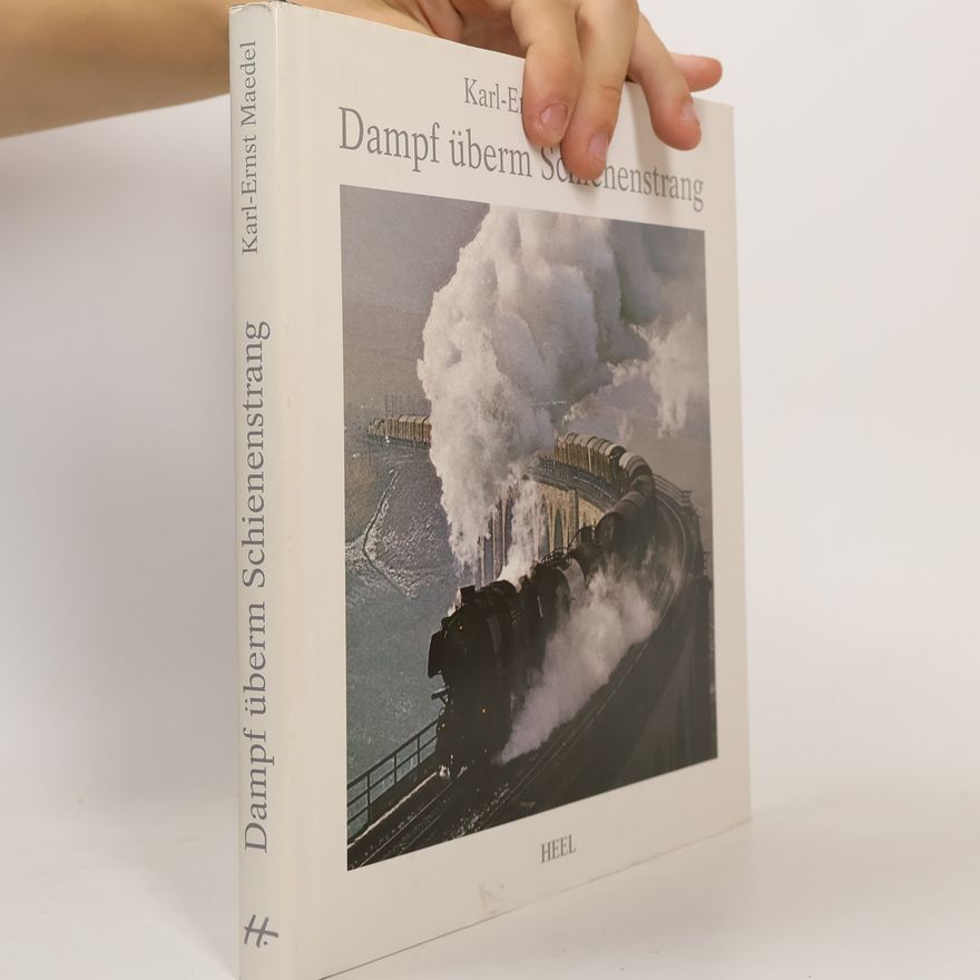 Karl Ernst Maedel Dampf überm Schienenstrang