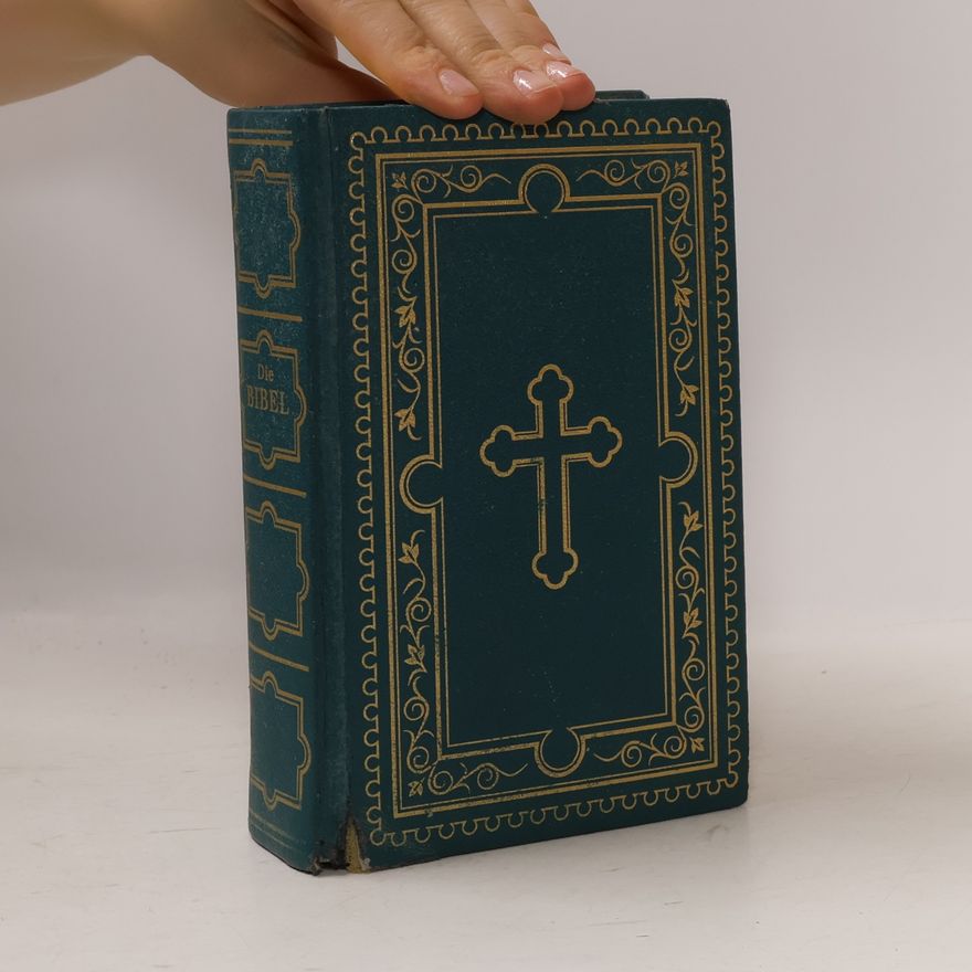 Vinzenz Hamp Die Bibel